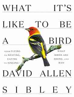 What It's Like To Be A Bird: From Flying To Nesting, Eating To Singing--what Birds Are Doing, And Why by David Allen Sibley