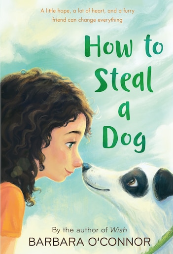 How To Steal A Dog: A Novel by Barbara O'connor