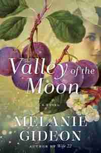 Valley Of The Moon: A Novel by Melanie Gideon