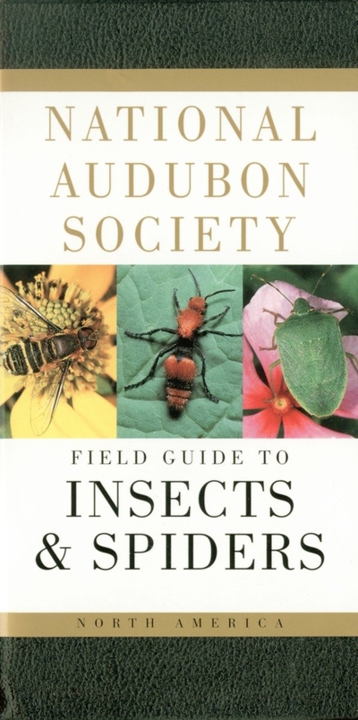 National Audubon Society Field Guide To Insects And