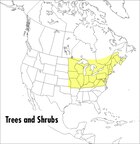 A Field Guide to Trees and Shrubs: Northeastern and north-central United States and southeastern…