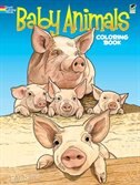 Baby Animals Coloring Book Book By Ruth Soffer Coloring Books Www Chapters Indigo Ca
