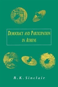 critically assess citizen participation critically assess citizen participation