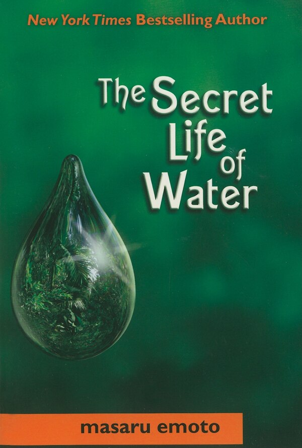 Secret Life of Water by Masaru Emoto Hardcover | Indigo Chapters