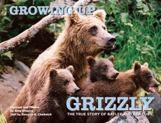 Growing Up Grizzly: The True Story of Baylee and Her Cubs by Amy Shapira