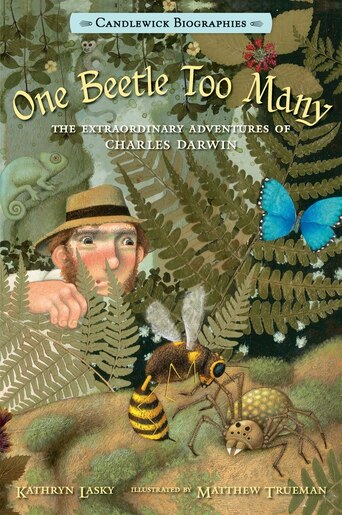 One Beetle Too Many: Candlewick Biographies: The Extraordinary Adventures Of Charles Darwin by Kathryn Lasky