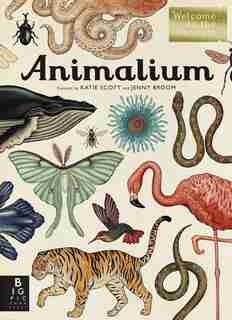 Animalium: Welcome To The Museum by Jenny Broom