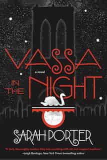 Vassa In The Night: A Novel by Sarah Porter