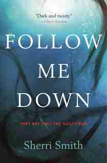 Follow Me Down: A Novel by Sherri Smith