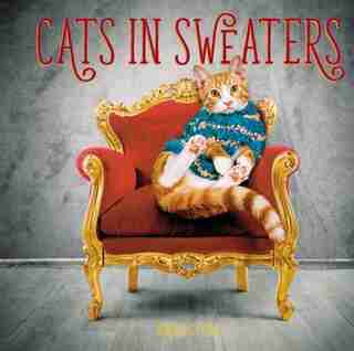 Cats In Sweaters by Jonah Stern