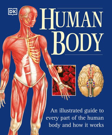 The Human Body: An Illustrated Guide To Every Part Of The Human Body