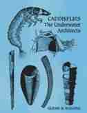 Caddisflies: The Underwater Architects by Glenn Wiggins