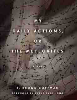 My Daily Actions, Or The Meteorites by S. Brook Corfman