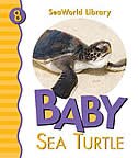 Baby Sea Turtle San Diego Zoo