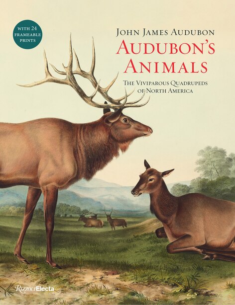Audubon's Animals: The Viviparous Quadrupeds Of North America by John James Audubon
