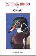 Common Birds of Ontario by J. Duane Duane Sept