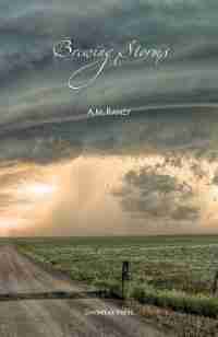 Brewing Storms by AM Ramzy