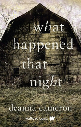 What Happened That Night by Deanna Cameron