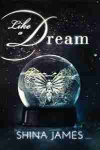 Like a Dream by Shina James