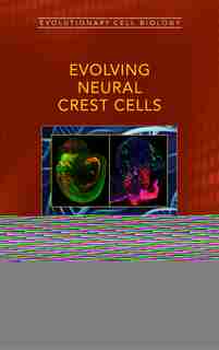 Origin And Evolution Of Neural Crest Cells by Daniel Meulemans Medeiros