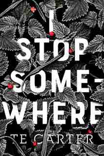 I Stop Somewhere by Te Carter