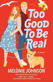 Too Good To Be Real: A Novel by Melonie Johnson