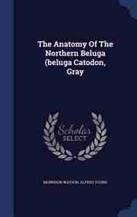 The Anatomy Of The Northern Beluga (beluga Catodon, Gray by Morrison Watson