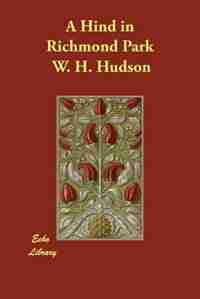 A Hind In Richmond Park by W. H. Hudson