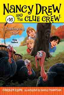 Thanksgiving Thief by Carolyn Keene