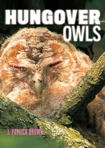 Hungover Owls by J. Patrick Brown