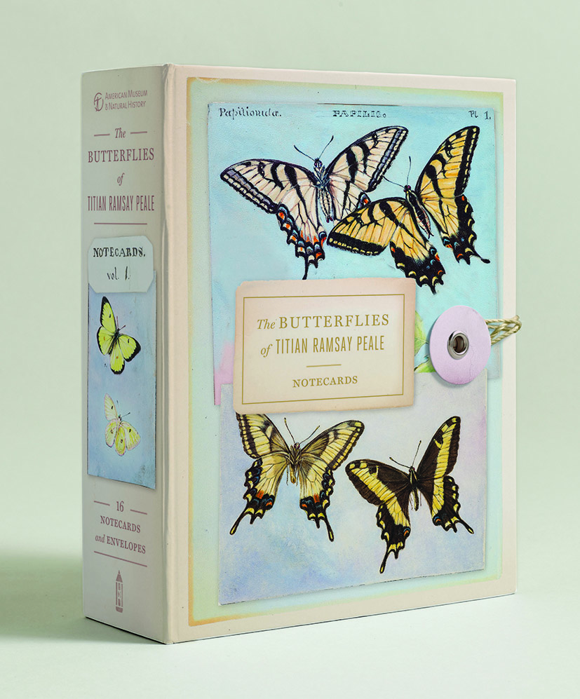 The Butterflies Of Titian Ramsay Peale Notecards by American Museum Of Natural History