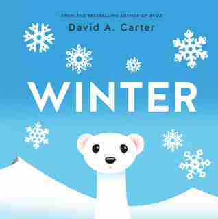 Winter: A Pop-up Book by David Carter