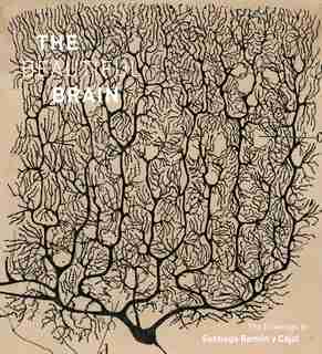 Beautiful Brain: The Drawings Of Santiago Ramon Y Cajal by Larry W. Swanson