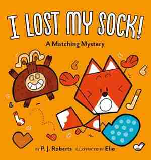 I Lost My Sock!: A Matching Mystery by P. J. Roberts