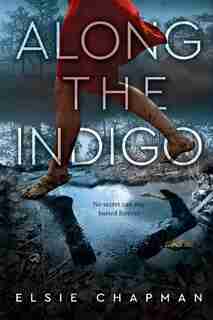 Along The Indigo by Elsie Chapman