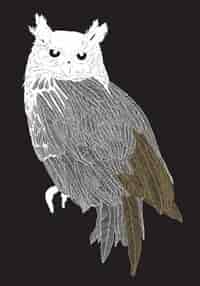 Brave Birds Notebook (paperback) by Maude White