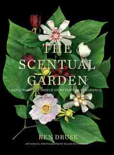 The Scentual Garden: Exploring The World Of Botanical Fragrance by Ken Druse