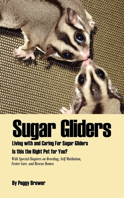book report of sugar glider Sugar glider express, marrero, la 1k likes nawlin's own sugar glider express we take care of birds, lizards, bunnys, ferrets, sugar gliders, hedgehogs, rats. book report of sugar glider Sugar glider express, marrero, la 1k likes nawlin's own sugar glider express we take care of birds, lizards, bunnys, ferrets, sugar gliders, hedgehogs, rats.