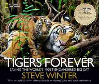 Tigers Forever: Saving The World's Most Endangered Big Cat by Sharon Guynup