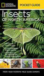 National Geographic Pocket Guide To Insects Of North America de Arthur V. Evans