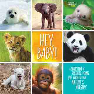 Hey, Baby!: A Collection Of Pictures, Poems, And Stories From Nature's Nursery by Stephanie Warren Drimmer