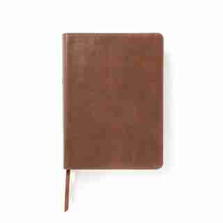 SHE READS TRUTH BIBLE, BROWN GENUINE LEATHER, INDEXED by Raechel Myers, Raechel