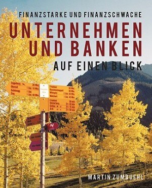 Finanzstarke Und Finanzschwache Unternehmen Und Banken Auf Einen Blick Paperback | Indigo Chapters