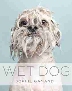 Wet Dog by Sophie Gamand