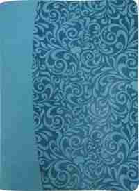 The Everyday Life Bible: The Power Of God's Word For Everyday Living by Joyce Meyer
