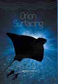 Orion Surfacing by I.James Forrest
