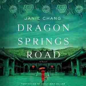 Dragon Springs Road: A Novel by Janie Chang