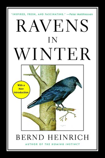 Ravens In Winter de Bernd Heinrich