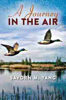 A Journey In The Air by Savorn M Yang