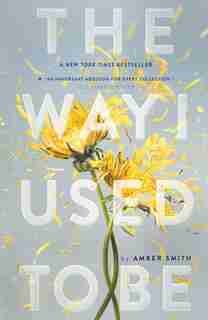 The Way I Used to Be by Amber Smith
